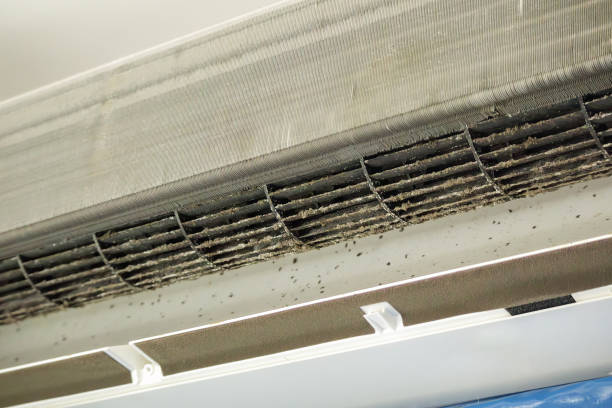 Best Ductwork Cleaning Services  in Cimarron Hills, CO